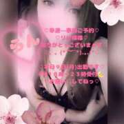 ヒメ日記 2026/03/09 11:17 投稿 ラン 煌-kirameki-