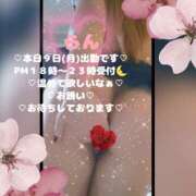 ヒメ日記 2026/03/09 15:55 投稿 ラン 煌-kirameki-