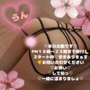 ヒメ日記 2026/03/10 15:39 投稿 ラン 煌-kirameki-