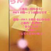 ヒメ日記 2026/03/11 16:13 投稿 ラン 煌-kirameki-