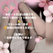 ヒメ日記 2026/03/13 12:36 投稿 ラン 煌-kirameki-