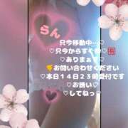 ヒメ日記 2026/03/14 15:13 投稿 ラン 煌-kirameki-