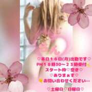 ヒメ日記 2026/03/16 14:44 投稿 ラン 煌-kirameki-