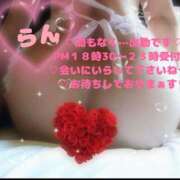 ヒメ日記 2026/03/16 17:57 投稿 ラン 煌-kirameki-