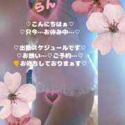 ヒメ日記 2026/03/19 13:27 投稿 ラン 煌-kirameki-