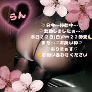 ヒメ日記 2026/03/22 12:34 投稿 ラン 煌-kirameki-