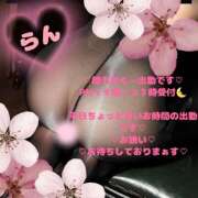 ヒメ日記 2026/03/23 15:36 投稿 ラン 煌-kirameki-