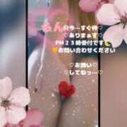 ヒメ日記 2026/03/23 19:38 投稿 ラン 煌-kirameki-