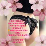 ヒメ日記 2026/03/24 15:24 投稿 ラン 煌-kirameki-