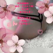 ヒメ日記 2026/03/24 22:07 投稿 ラン 煌-kirameki-