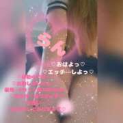 ヒメ日記 2026/03/25 15:24 投稿 ラン 煌-kirameki-