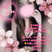 ヒメ日記 2026/03/25 19:32 投稿 ラン 煌-kirameki-