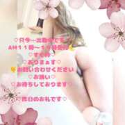 ヒメ日記 2026/03/26 11:58 投稿 ラン 煌-kirameki-