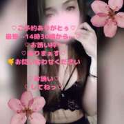 ヒメ日記 2026/03/26 12:40 投稿 ラン 煌-kirameki-