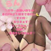 ヒメ日記 2026/03/26 15:46 投稿 ラン 煌-kirameki-