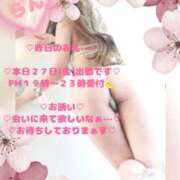 ヒメ日記 2026/03/27 15:32 投稿 ラン 煌-kirameki-