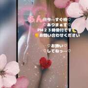 ヒメ日記 2026/03/27 19:27 投稿 ラン 煌-kirameki-