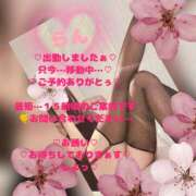 ヒメ日記 2026/03/28 13:13 投稿 ラン 煌-kirameki-