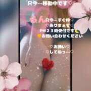 ヒメ日記 2026/03/28 15:15 投稿 ラン 煌-kirameki-