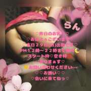 ヒメ日記 2026/03/29 10:10 投稿 ラン 煌-kirameki-