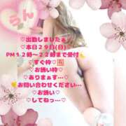 ヒメ日記 2026/03/29 12:37 投稿 ラン 煌-kirameki-