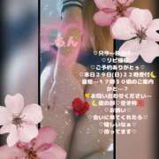 ヒメ日記 2026/03/29 15:16 投稿 ラン 煌-kirameki-