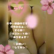 ヒメ日記 2026/03/29 20:08 投稿 ラン 煌-kirameki-