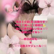 ヒメ日記 2026/03/30 14:46 投稿 ラン 煌-kirameki-