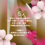 ヒメ日記 2026/03/30 17:30 投稿 ラン 煌-kirameki-