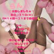 ヒメ日記 2026/03/31 14:35 投稿 ラン 煌-kirameki-