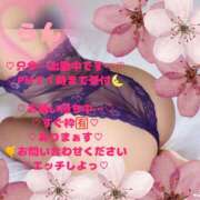 ヒメ日記 2026/03/31 15:39 投稿 ラン 煌-kirameki-