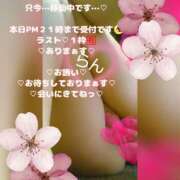 ヒメ日記 2026/03/31 20:16 投稿 ラン 煌-kirameki-