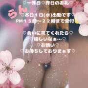 ヒメ日記 2026/04/01 12:27 投稿 ラン 煌-kirameki-