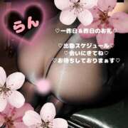 ヒメ日記 2026/04/01 13:14 投稿 ラン 煌-kirameki-