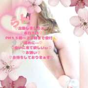 ヒメ日記 2026/04/01 15:28 投稿 ラン 煌-kirameki-