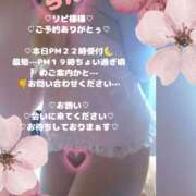 ヒメ日記 2026/04/01 17:51 投稿 ラン 煌-kirameki-