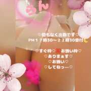 ヒメ日記 2026/04/02 17:00 投稿 ラン 煌-kirameki-