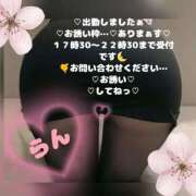 ヒメ日記 2026/04/02 18:24 投稿 ラン 煌-kirameki-