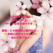 ヒメ日記 2026/04/03 18:27 投稿 ラン 煌-kirameki-