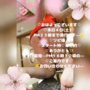 ヒメ日記 2026/04/04 12:47 投稿 ラン 煌-kirameki-