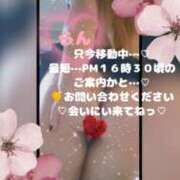 ヒメ日記 2026/04/04 15:26 投稿 ラン 煌-kirameki-