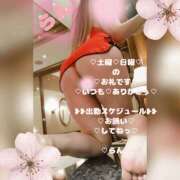 ヒメ日記 2026/04/06 13:42 投稿 ラン 煌-kirameki-