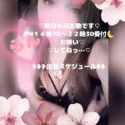 ヒメ日記 2026/04/07 18:03 投稿 ラン 煌-kirameki-