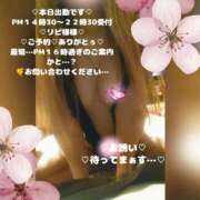 ヒメ日記 2026/04/08 13:03 投稿 ラン 煌-kirameki-