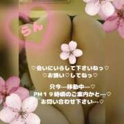 ヒメ日記 2026/04/08 16:41 投稿 ラン 煌-kirameki-