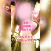 ヒメ日記 2026/04/08 20:43 投稿 ラン 煌-kirameki-