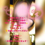 ヒメ日記 2026/04/09 14:39 投稿 ラン 煌-kirameki-