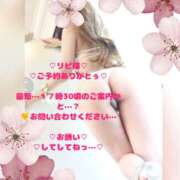 ヒメ日記 2026/04/09 15:59 投稿 ラン 煌-kirameki-