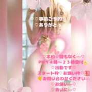 ヒメ日記 2026/04/11 12:09 投稿 ラン 煌-kirameki-