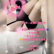 ヒメ日記 2026/04/11 14:36 投稿 ラン 煌-kirameki-